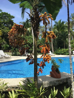 La Diosa Nature Lodge, Cahuita, Коста-Рика