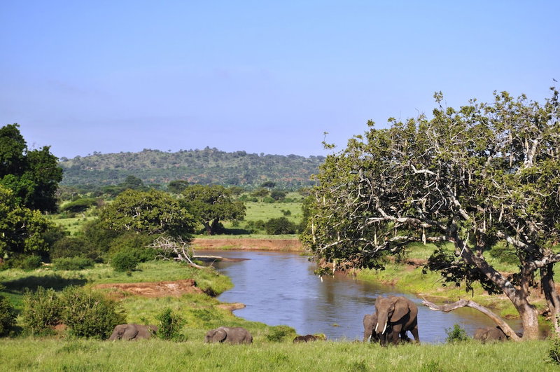 Elephant Rock Luxury Camp Tarangire, Arusha, Tanzania