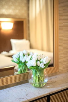 Dhiafat Al Rajaa Hotel, Mecca, Saudi Arabia