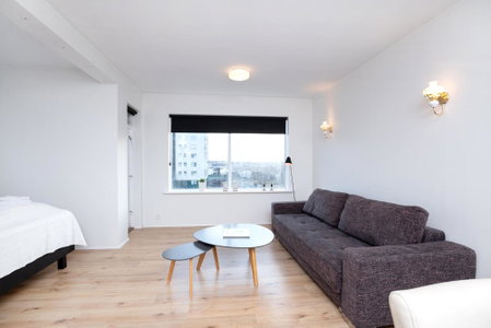 City view, bright & cozy - Free parking (A4), Reykjavík, Iceland