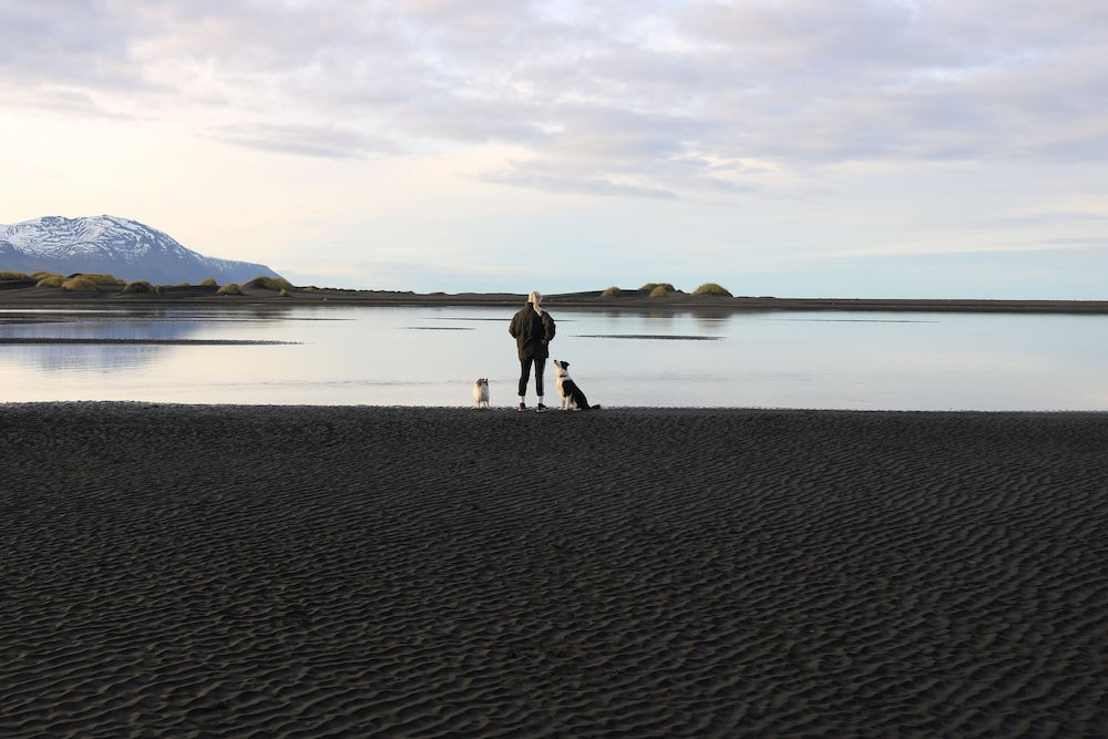 Laxhús Laxamýri, Island