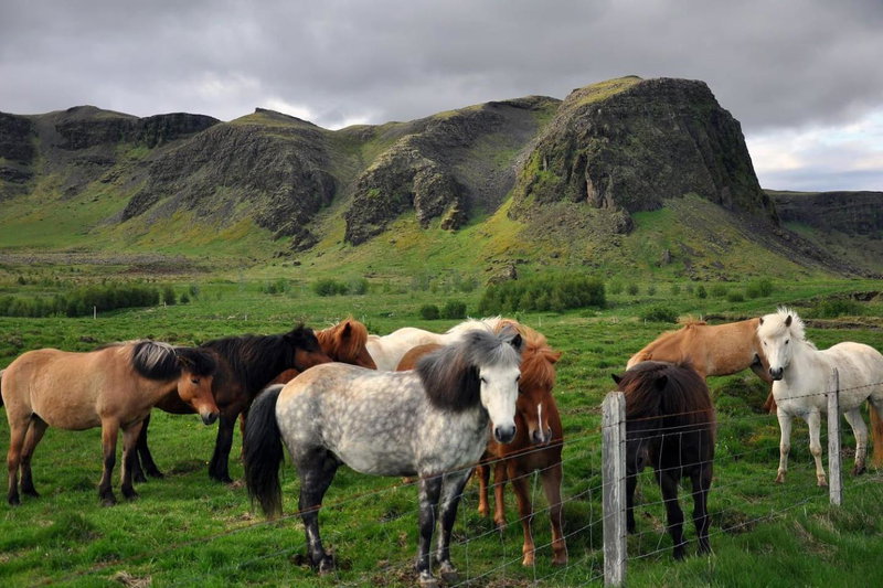 Klettur, Borgarnes, Iceland