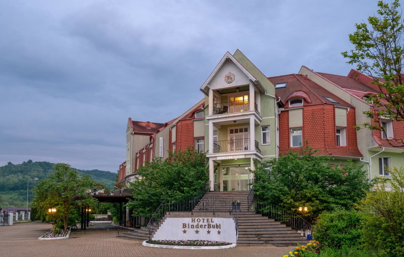 Mercure Medias Binderbubi Hotel And Spa, Medias, Romania