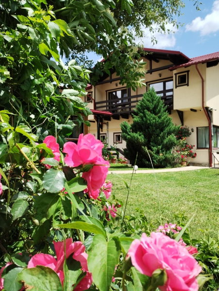 Casa cu Flori, Rasnov, Romania