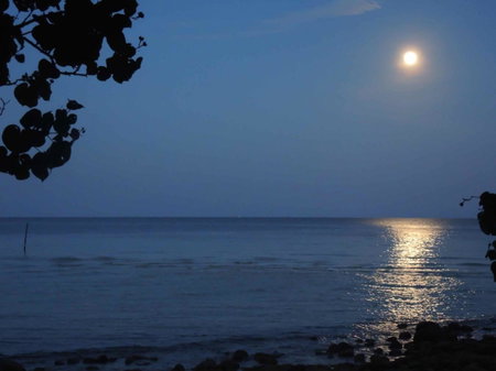 Coconutbeach Bungalows, Koh Rong Island, Kambodscha