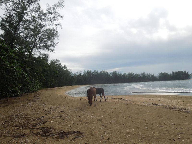Koh Thmei Resort, Phumĭ Kâng Kéng, Cambodia