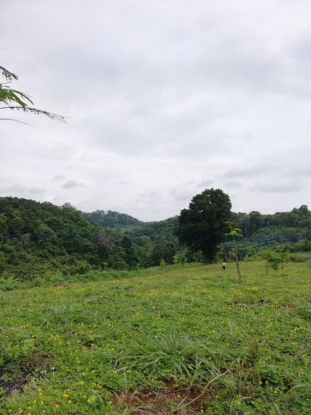 La Villa Hortensia-Mondulkiri, Phumĭ Pu Pal, Camboya