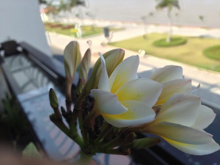 New Season Riverside Hotel, Phnom Penh, Camboya