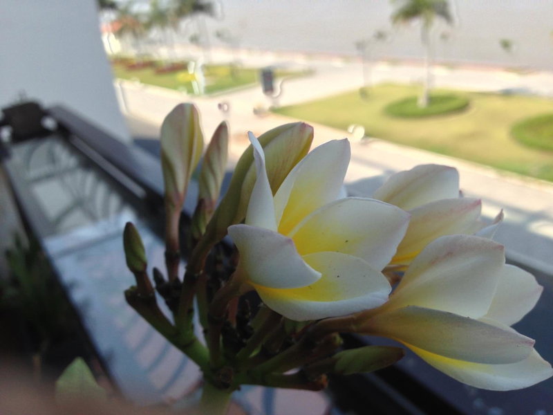 New Season Riverside Hotel, Phnom Penh, Camboya