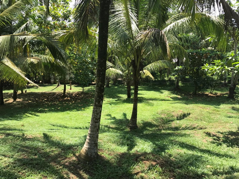 Good Vibes Villas, Galle, Sri Lanka