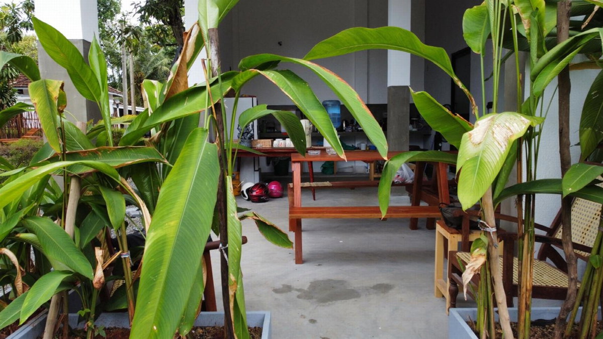 Kahaii Surf hotel, Sri Lanka