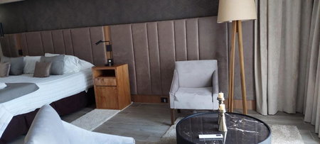 Fuente Mayor Hotel Centro, Mendoza, Argentine