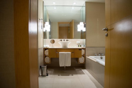 Hilton Mendoza, Mendoza, Argentinien