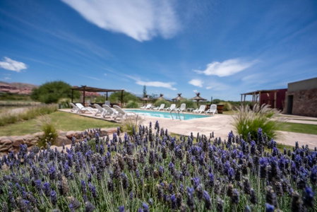 Hotel Castillos de Cafayate, Cafayate, Argentina