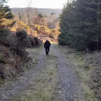 Shadowvale E34X773, Tipperary, Ireland