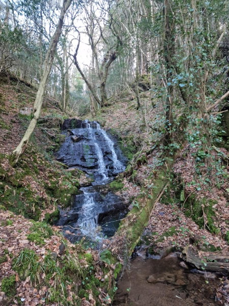Shadowvale E34X773, Tipperary, Ireland