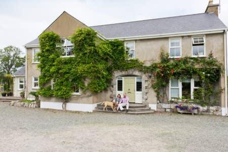 Buvinda, Drogheda, Ireland