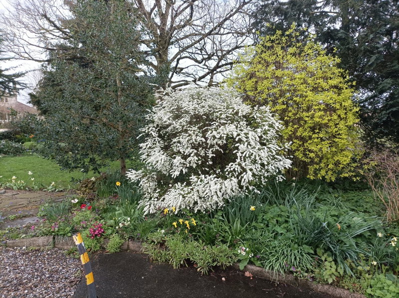 Twin Oaks Bed & Breakfast, Kilkenny, Irland
