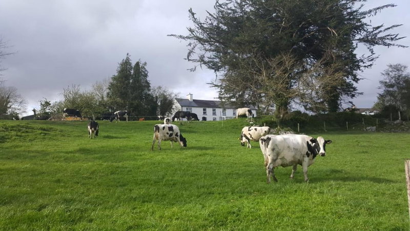 Gortamullen House, Kenmare, Kenmare, Ireland