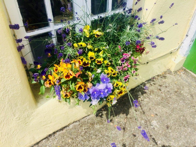 The Tower House B&B, Kilkenny, Irlanda