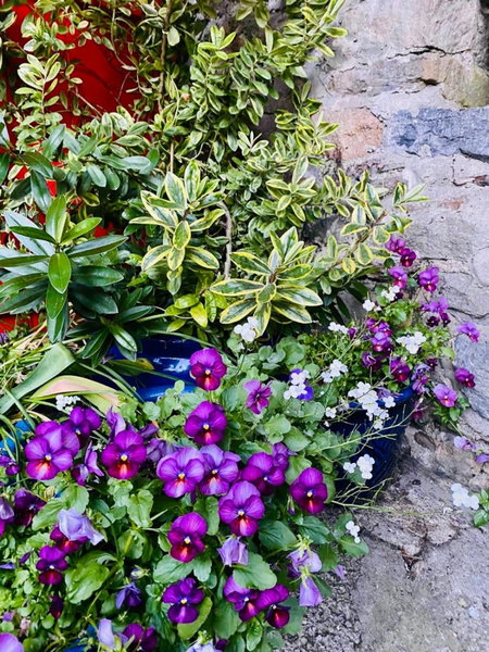The Tower House B&B, Kilkenny, Irlanda
