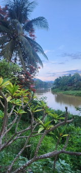 Maison Zen Aphay, Luang Prabang, Laos