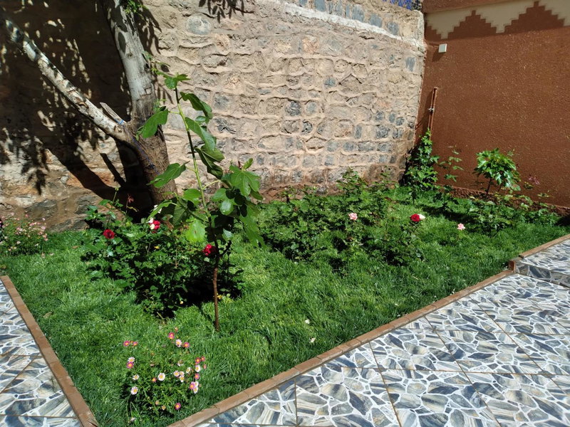 Berbère De La Montagne Hotel Dades, Imdiazene, Марокко