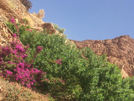 Auberge Le Festival Todra Gorge, Tinghir, Morocco