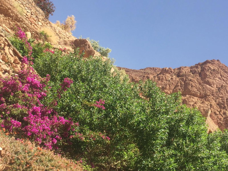 Auberge Le Festival Todra Gorge, Tinghir, Morocco