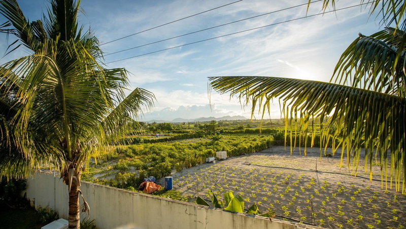 Villa Angelou - Sunlit Beach Getaway with Pool and WIFI, Belle Mare, Mauritius