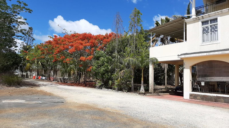 Dino 2, Trou aux Biches, Mauritius