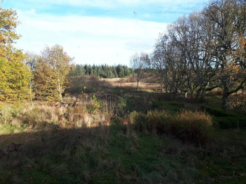 Glædegården -Glaede Landhof- 12 beds!, Frøstrup, Denmark