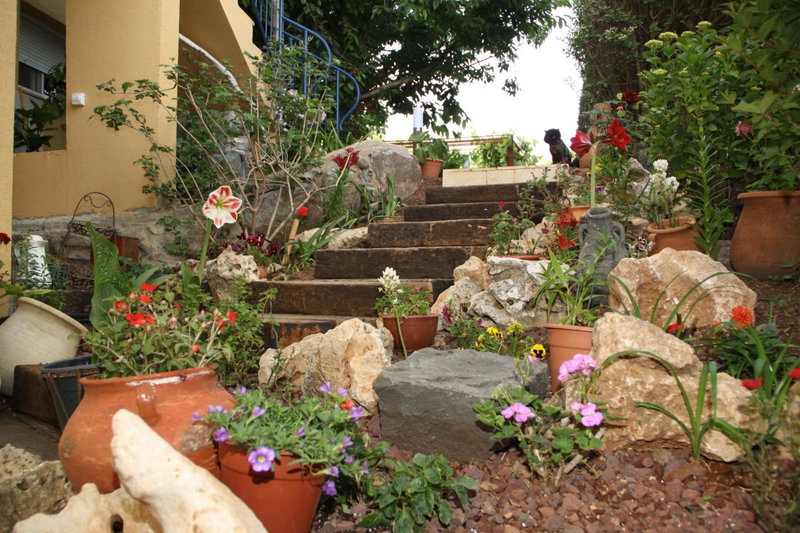 Suzanna in Odem, Odem, Israel