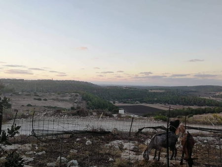 Galilee Bedouin Camplodge, Qiryat Tiv'on, Israel