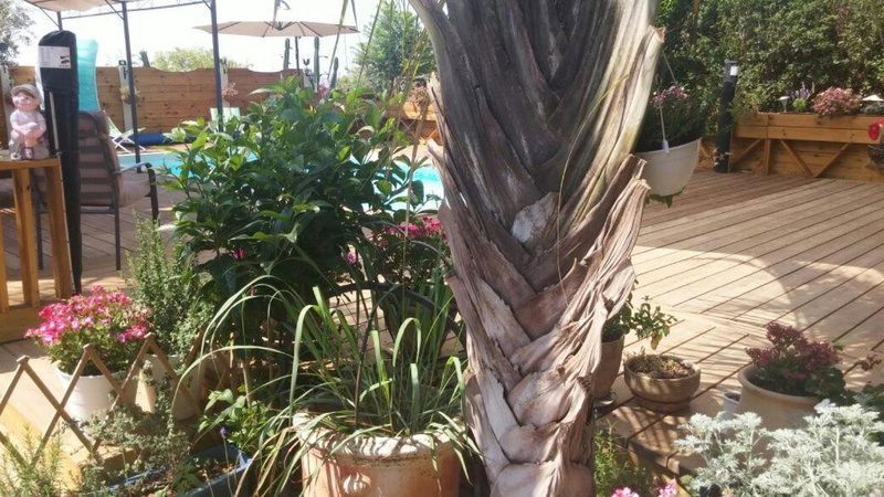 צימר בגליל אביב בבקתה, Judeida Makr, Israel