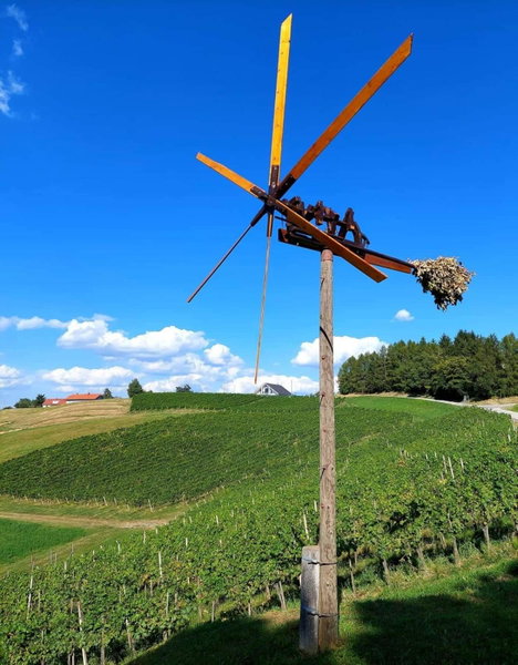Turistična kmetija Protner, Maribor, Slovénie