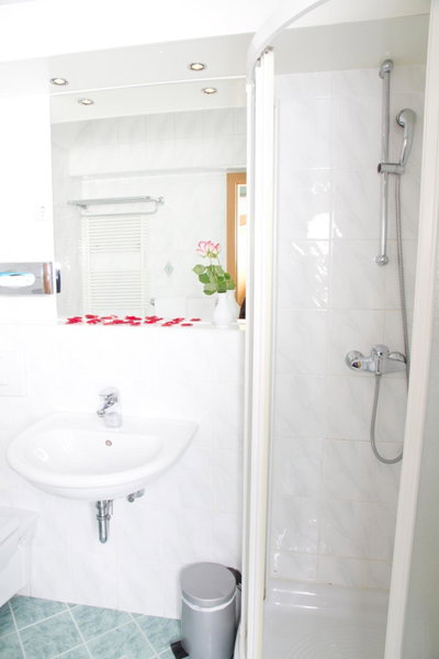 Guesthouse Avsenik, Kranj, Slovenia