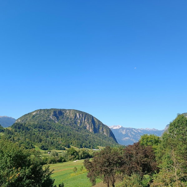 Apartmaji Hodak, Bohinj, Slovenia