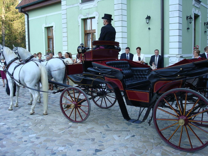 Penzión Zlatý Jeleň, Kosice, Slovakia