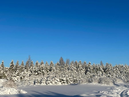 Marguse Metsamajad, Pärnu, Estonia