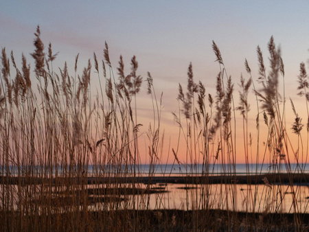 Pérka kodumajutus, Häädemeeste, Estonia