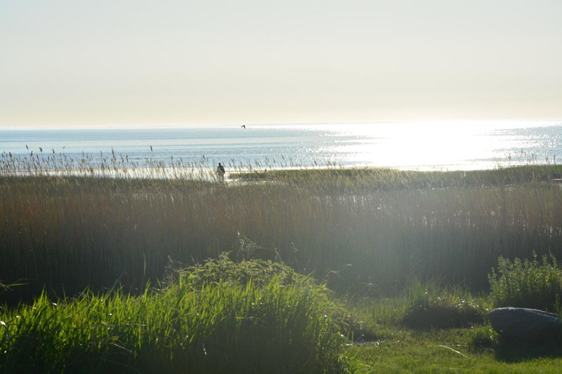 Pérka kodumajutus, Häädemeeste, Estonia