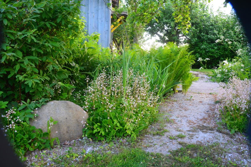 Pérka kodumajutus, Häädemeeste, Estonia
