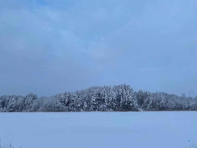 Järveoru, Aidaku, Estland