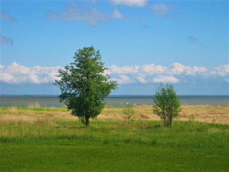 Saulepa Cottage, Saulepa, Estland