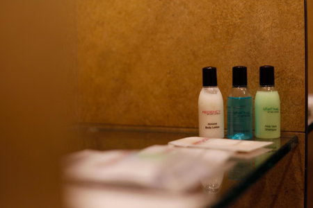Regency Tirunelveli By GRT Hotels, Tirunelveli, India