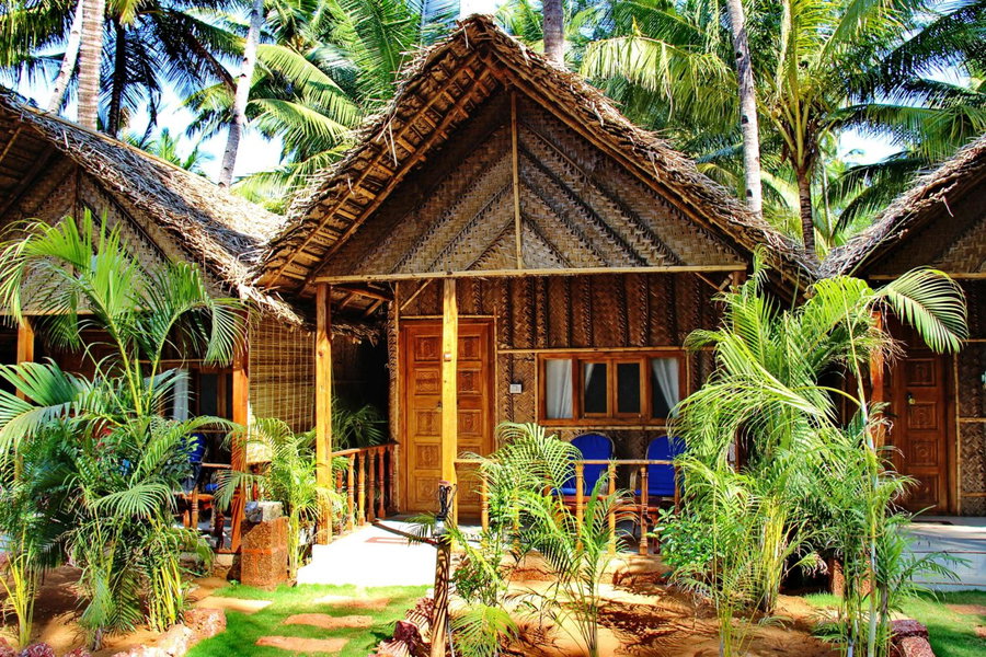 Cinnamon, Cuncolim, India