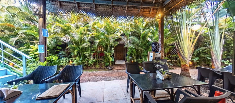 Cinnamon, Cuncolim, India