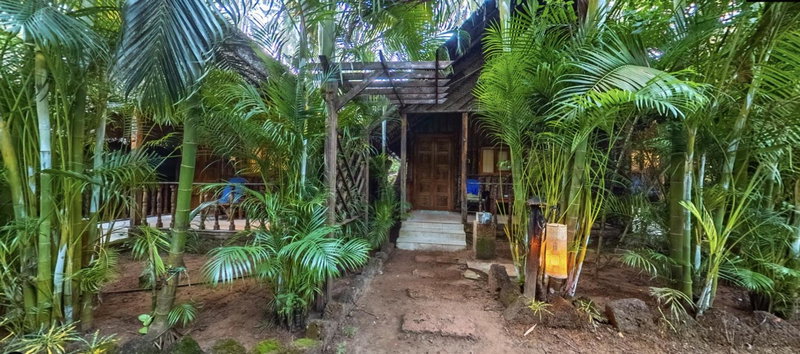 Cinnamon, Cuncolim, India