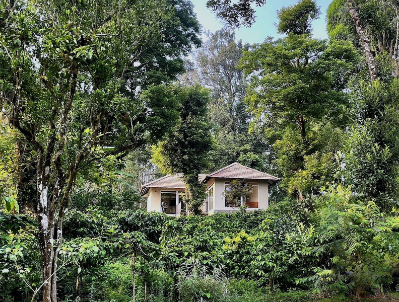 Montrose Golf Resort & Spa, Madikeri, India